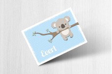 Lieve koalabeer Lieve koalabeer